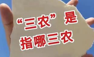 三農(nóng)是什么意思？三農(nóng)指的是什么意思?