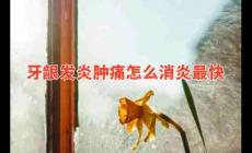 牙齦發(fā)炎腫痛怎么消炎最快？