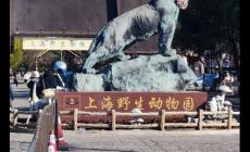 上海野生動物園介紹及游玩亮點(diǎn)盤點(diǎn) 上海野生動物園游玩攻略